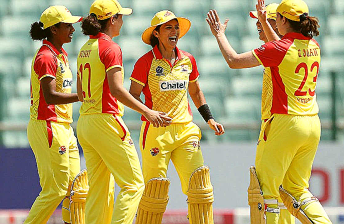Empty Information Points, Crowded Canvas: How Cricket Journalism Fills a Vacuum