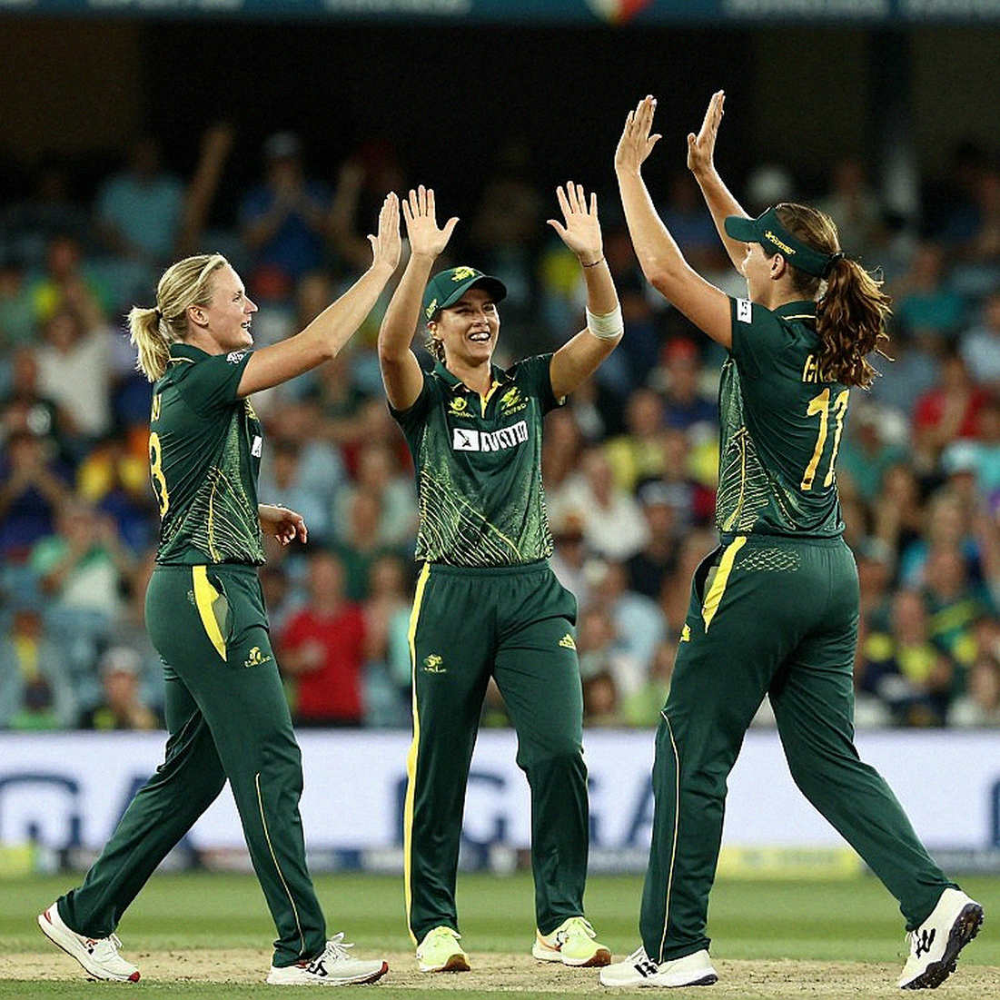 The Empty Ledger: When Cricket Data Returns 'Nothing,' Integrity Is the Only Scorecard
