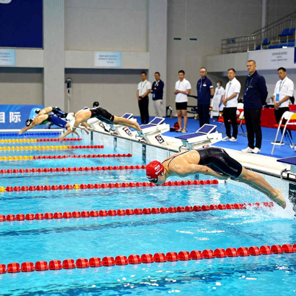 The Ledger of a Null Result: The Silence That Cross-Examines Swimming's Data The Ledger of a Null Result: The Silence That Cross-Examines Swimming's Data
